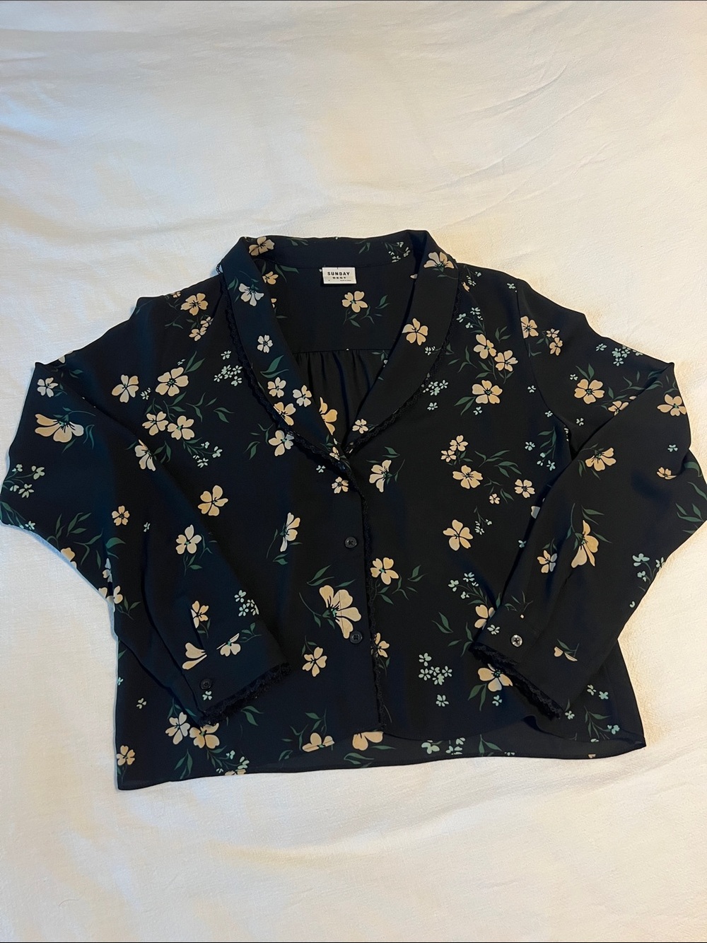 Aritzia Sunday Best Sheer Black Floral Top with Cream Blooms